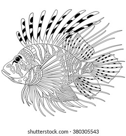 Zentangle stylized cartoon zebrafish (lionfish,pterois volitans), isolated on white background. Sketch for adult antistress coloring page. Hand drawn doodle, zentangle elements for coloring book.