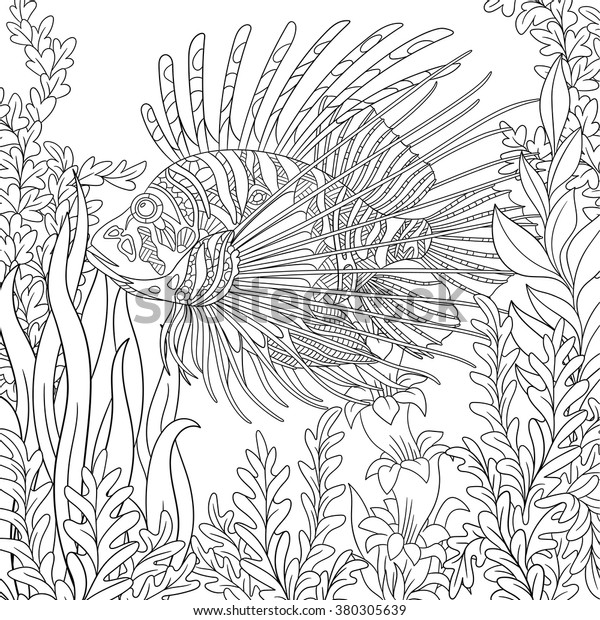ゼンタングル風の漫画ゼブラフィッシュ ライオンフィッシュ プテロイス ヴォリタン が植物 の周りを泳いでいる 成人向けのアンチストレスカラーリングページのスケッチ 手描きの落書き カラーブック用のzentangleデザインエレメント のベクター画像素材