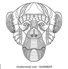 Zentangle stylized chimpanzee head, vector, illustration, freehand pencil, pattern. Monkey doodle. Zen art. Black and white illustration on white background. 