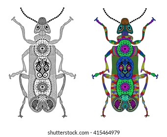 Zentangle stylized color and black beetle. Hand Drawn vector illustration. Books or tattoos with high details isolated on white background. Collection of insects.