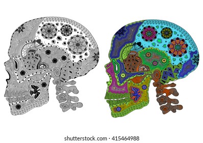 Zentangle stylized color and black human skull. Hand Drawn vector illustration. Books or tattoos with high details isolated on white background. Psychedelic.