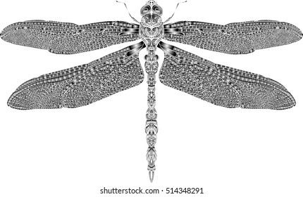 Zentangle stylized dragonfly . Hand-drawn vector illustration.