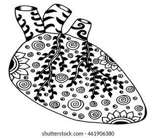 Zentangle stylized Human heart