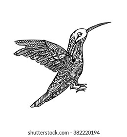 Zentangle stylized Hummingbird. 