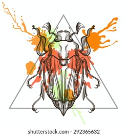 Zentangle stylized May bug in triangle frame with watercolor ink drop. Hand Drawn doodle vector illustration. Sketch for tattoo, postcard, t-shirt, fabric bag, poster. Animal collection.