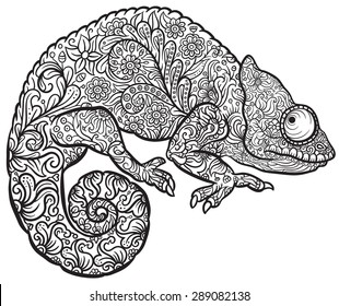 Zentangle stylized multi coloured Chameleon. Hand Drawn Reptile vector illustration in doodle style for tattoo or print 