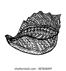 Zentangle stylized ocean shell, hand drawn doodle vector illustration. Black on white isolated vector illustration. Sketch for tattoo or print template. Coloring book pages for adults.