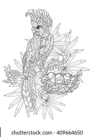 Zentangle stylized parrot.Hand drawn vector illustration. Sketch for tattoo or makhenda or adult coloring book. Bird collection boho style.