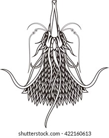 Zentangle stylized phoenix. Hand Drawn patterned vector illustration isolated on white background. Vintage sketch for tattoo design or makhenda. Sea art collection.