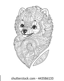 Zentangle stylized purebred dog. Vector hand drawn pom. Pomeranian spitz. Adult antistress coloring page. Doodle sketch for T-shirt, logo, tattoo. Black isolated illustration on white background.