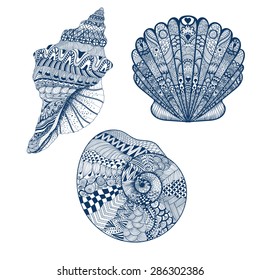 Zentangle stylized set blue seashells. Hand Drawn vector illustration isolated on white backgrounds. Sketch for tattoo or makhenda. Seashell collection. Ocean life.