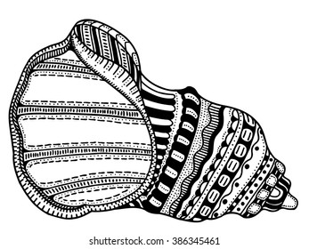 Zentangle stylized shell. Hand Drawn aquatic doodle vector illustration. Sketch for tattoo or makhenda. Seashell collection. Ocean life.