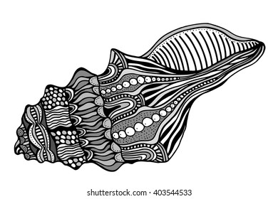 Zentangle stylized shell. Hand Drawn aquatic doodle vector illustration. Sketch for tattoo or makhenda. Seashell collection. Ocean life.