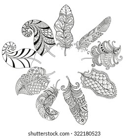 Zentangle stylized various feathers for coloring page. Hand drawn vintage illustration for adult anti-stress coloring page on white background. Ethnic decorative elements.