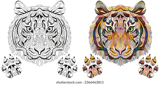 Zentangle tiger head with paws. Hand drawn decorative vector illustration. Black and white and color images