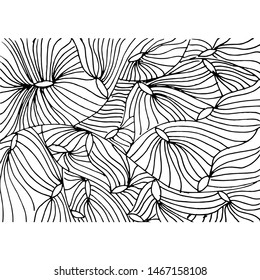 Zentangle vector back & white illustration hand drawn for colouring book or textile print