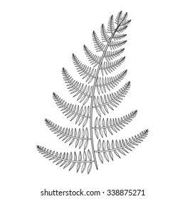 Zentangle Vector Fern Tattoo Boho Hipster Stock Vector Royalty Free