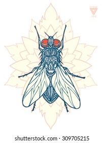 zentangle vector fly
