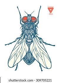 zentangle vector fly
