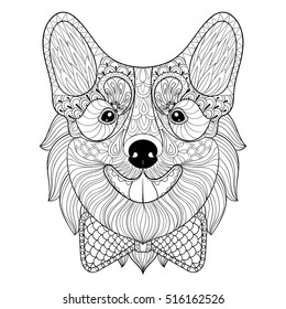 Zentangle Welsh Corgi with bow tie in monochrome doodle style. Hand drawn puppy, vector Dog face illustration for adult antistress coloring pages, books, art therapy. Sketch for logo, t-shirt print.