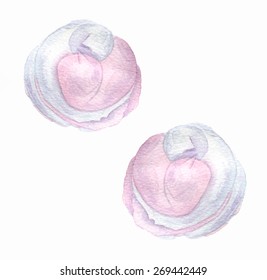 Zephyr. Hand Drawn Vector Watercolor Illustration. Isolated on white background.