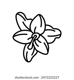 Zephyr Lily Outline Icon, Vector illustration