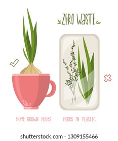 Zero waste concept poster. Herbs in plastic packaging vs herb grown home
