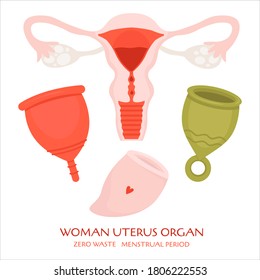 Zero waste menstrual period. Vector flat set with eco friendly products - cups and woman uterus organ.