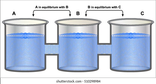 Zeroth Law Of Thermodynamics (Thermal Equilibrium)