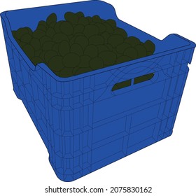 Zeytin Kasası Vektörel (Olive Vault Vector)