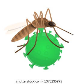 Zika insect icon. Cartoon of zika insect vector icon for web design isolated on white background