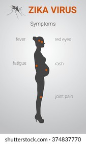 zika virus