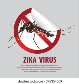 zika virus