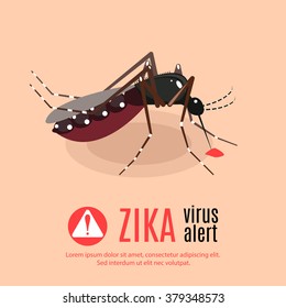 Zika Virus Alert Illustration With Aedes Aegypti Mosquitoes  Stings, Bites And Drinks Blood 