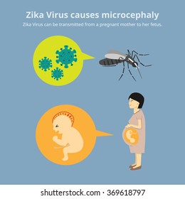 Zika Virus causes microcephaly. The virus is transmitted by mosquitos, and the pregnant mother can vertical infect to her fetus. (Infographic element/ Vector Design)