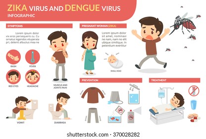 Zika Virus And Dengue Virus Infographic. Vector Flat Design.