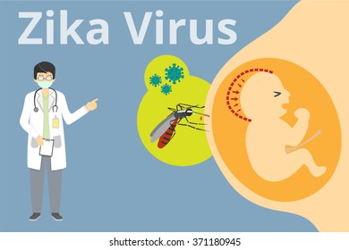 Zika virus infographic, background, and explanation. The Virus can be transmitted from pregnant mother to fetus through vertical transmission