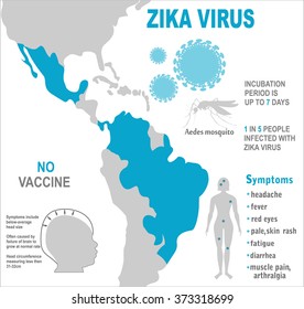 Zika virus infographic elements - prevention, transmission, vaccine, symptoms, microcephaly, protection measures. Zika virus disease. Zika virus design template. Isolated vector illustration.