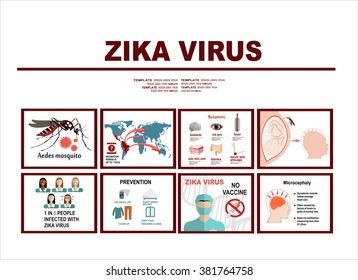 Zika virus infographic elements - prevention, transmission, vaccine, symptoms, microcephaly, protection measures. Zika virus disease. Zika virus design template. Isolated vector illustration.