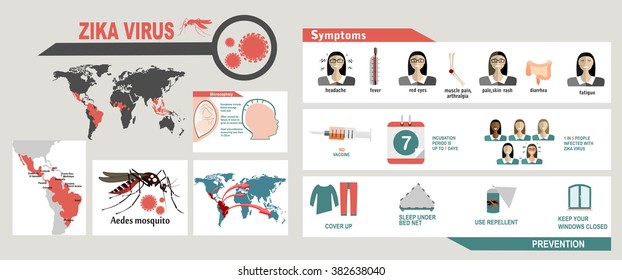 Elementos infográficos del virus de Zika: prevención, transmisión, vacuna, síntomas, microcefalia, medidas de protección. Enfermedad por el virus de Zika. Plantilla de diseño del virus del Zika. Ilustración vectorial aislada.