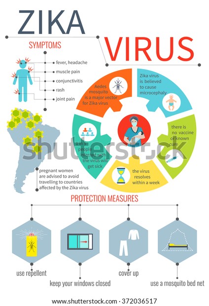 Zika Virus Infographic Elements Prevention Transmission Stock Vector ...