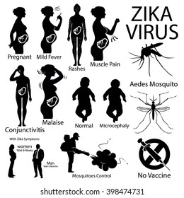 Zika virus infographic with pregnant woman.