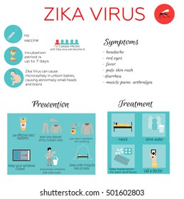 Zika virus infographic: prevention, symptoms and treatment