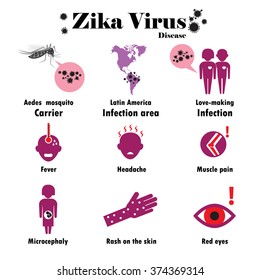 Zika virus infographic. Vector flat design.Vector illustration