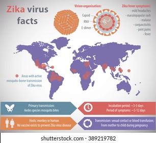 Zika virus infographic.
Vector illustration with fully editable layers
