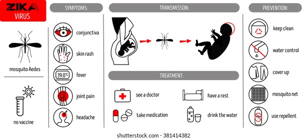 Zika virus infographicvector