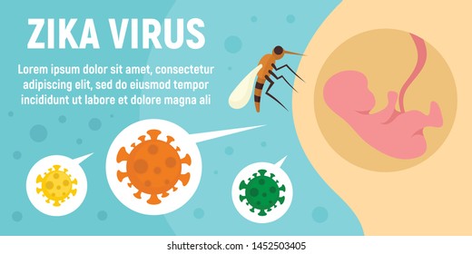 Zika virus mosquito concept banner. Flat illustration of zika virus mosquito vector concept banner for web design