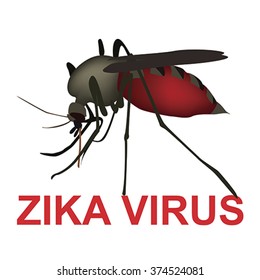 Zika virus - mosquito, vector