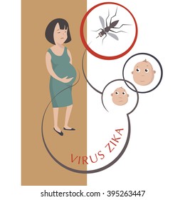 Zika virus outbreak concept. Transmitted zika by Aedes aegypti mosquito and it is linked to cause microcephaly on infected pregnant women. Zika medical, zika malaria, vector eps10