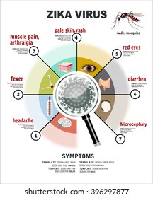 Zika Virus Symptoms Infographics Figures Text Stock Vector (Royalty ...